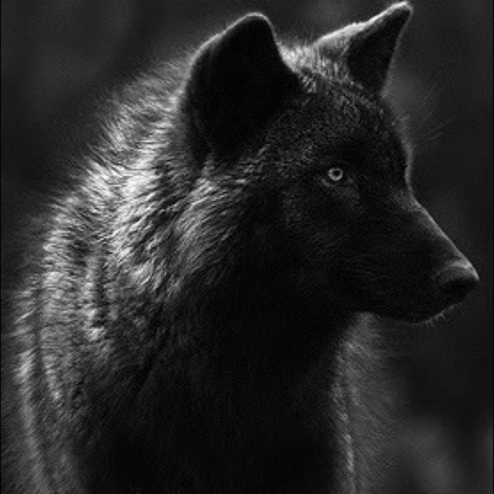 Meet your Posher, Ethan